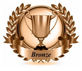 Brons link building pakket Brons link building pakket