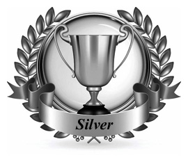 Link Building Pakket Zilver Link Building Pakket Zilver