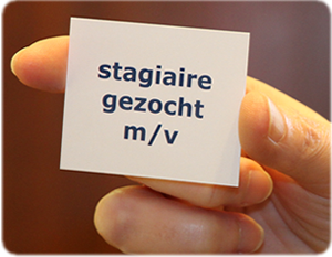Stagiaires Gezocht Stagiaires Gezocht