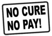 No cure no pay seo